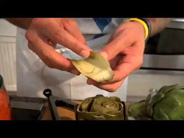 Video thumbnail for Jamie Deen's How-To: Cook an Artichoke