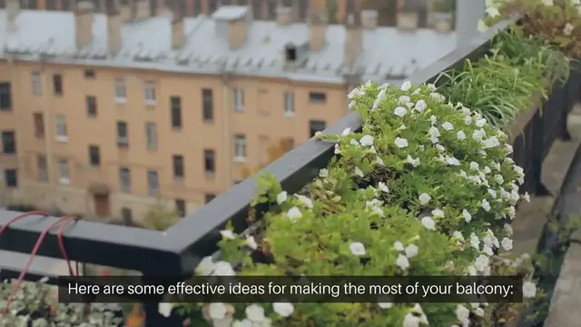Video thumbnail for Balcony Garden Ideas