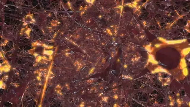 Video thumbnail for Tramadol – Uses, Effects, and Risks