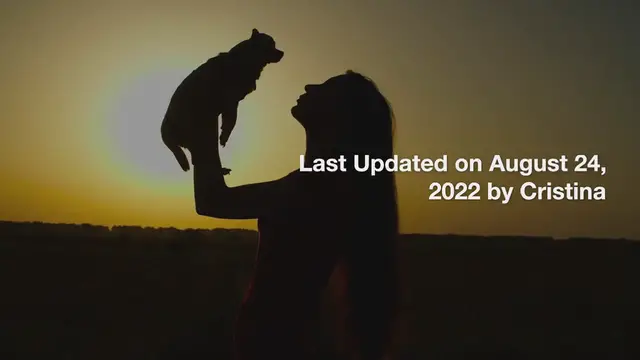 Video thumbnail for PROS AND CONS OF CHIHUAHUAS: INCREDIBLE FACTS TO KNOW ABOUT THE CHI REVEALED!