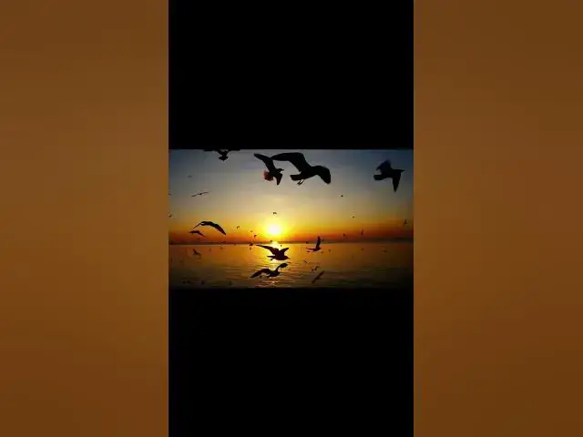 'Video thumbnail for Unlock Your Inner Peace Through Stillness'