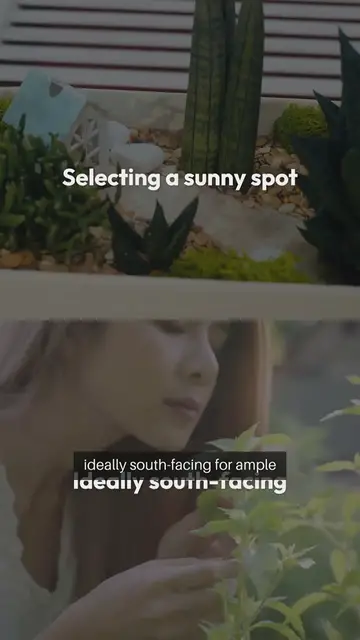 Video thumbnail for Indoor Herb Garden