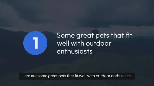 Video thumbnail for Pets For Outdoor Enthusiasts