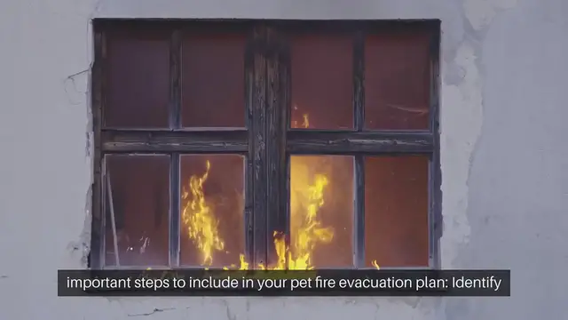 Video thumbnail for Pet Fire Evacuation Plan
