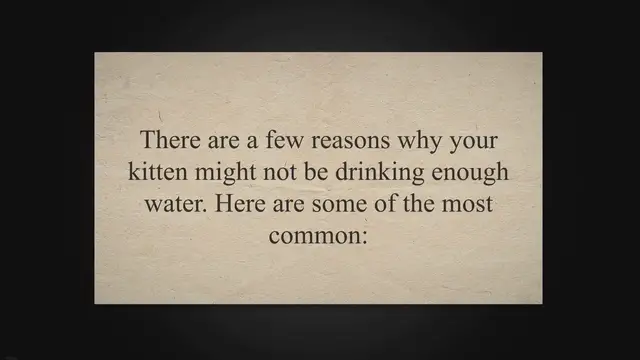 'Video thumbnail for Why Your Kitten Won't Drink Water and How to Solve It!'