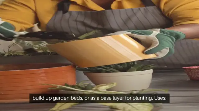 'Video thumbnail for Topsoil vs Potting Soil Which is Best'