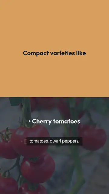 Video thumbnail for Indoor Vegetable Gardening