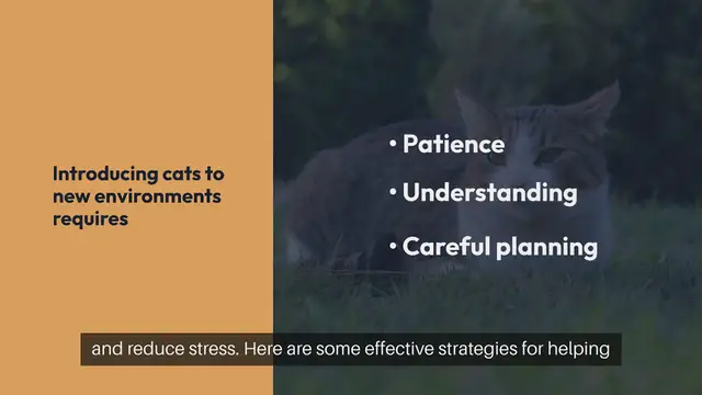 Video thumbnail for Introducing Cats to New Environments