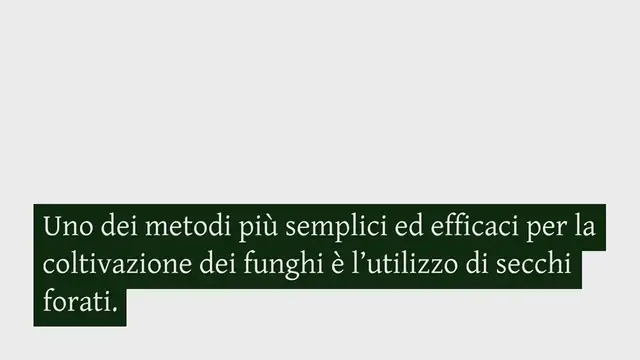 Video thumbnail for Come coltivare i funghi in casa in secchi bucherellati