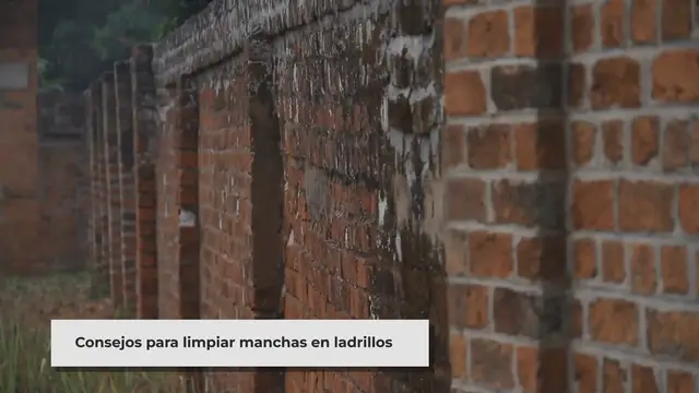 'Video thumbnail for Cómo Limpiar Manchas de Cemento y Salitre en Ladrillos'