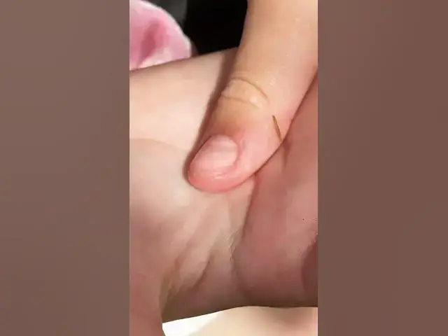 Video thumbnail for Look at this Tiny caterpillar