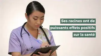 'Video thumbnail for Ginseng de Mandchourie '