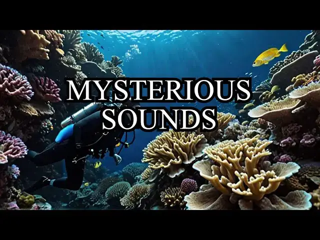 Video thumbnail for Uncovering the Hidden Mysteries of Ocean Sounds!
