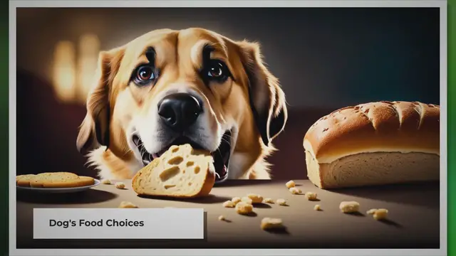 'Video thumbnail for What Do You Do If Your Dog Eats Bread?'