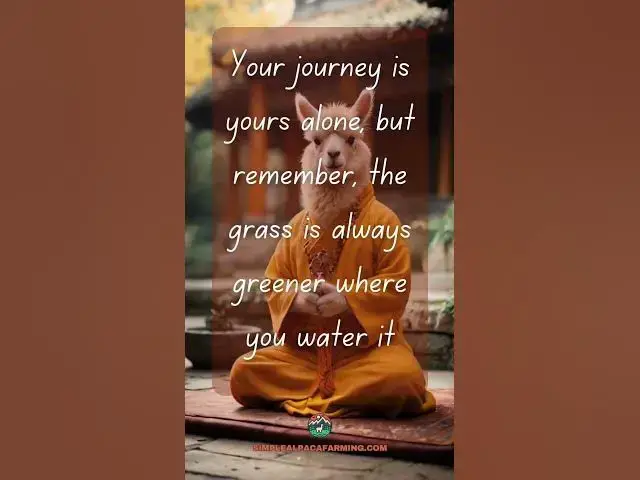 'Video thumbnail for The Journey #alpaca #alpacawisdom #meditation #llama #quotestoliveby  #inspirationalquote'