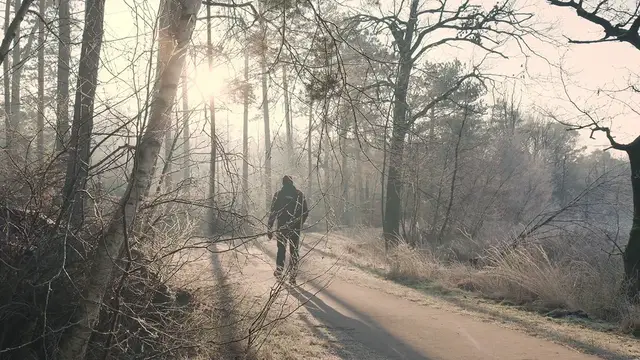 Video thumbnail for 282995_tiny.mp4