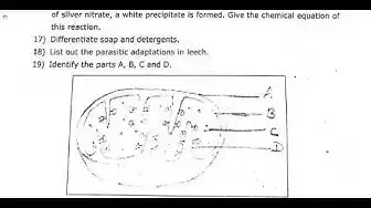 Video thumbnail for 10th Science Third Revision Question Paper 2019-2020 | Kanchipuram District | English Medium