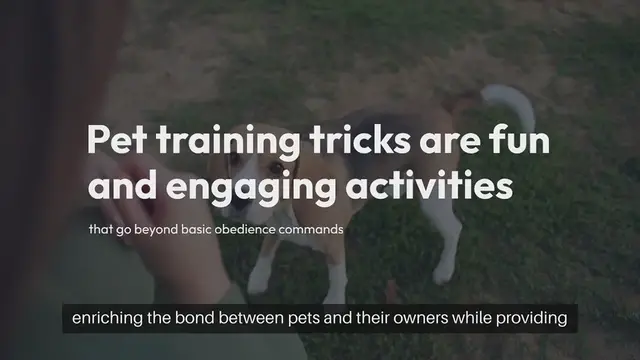 Video thumbnail for Pet Training Tricks