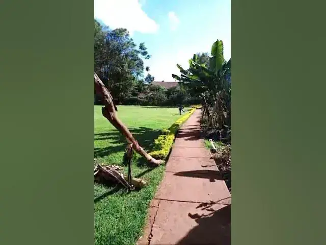 Video thumbnail for Egg 🥚 Game 🫣🫣🫣 #johnselephilip #religion #secretwaterfall #believejesus