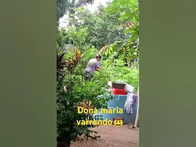Video thumbnail for Dona Maria varrendo quintal #vlogger