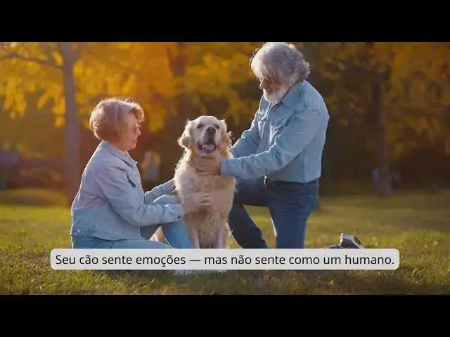 Video thumbnail for Você Está Entendendo Seu Cão Errado! A ciência já respondeu — e talvez você não goste