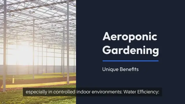 Video thumbnail for Aeroponic Gardening Benefits Explained