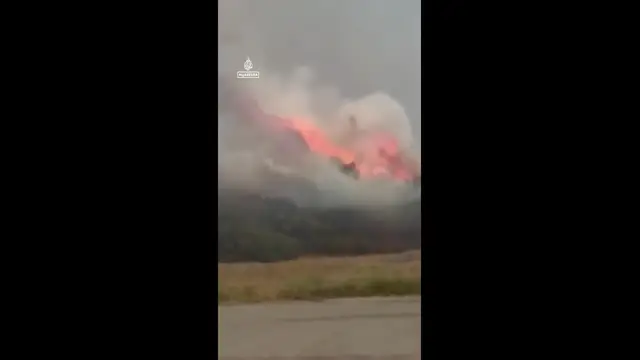 'Video thumbnail for Wildfires ravage Europe amid intense heatwave'