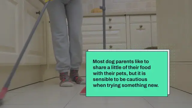 Video thumbnail for Can dogs eat bean sprouts?