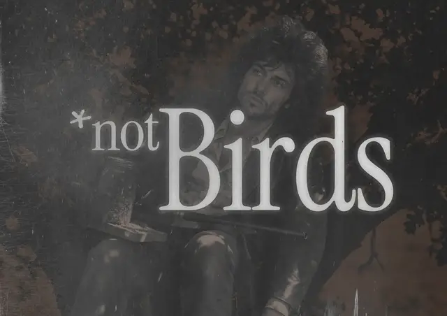 Video thumbnail for not Birds trailer (banned 1979 documentary about birds)