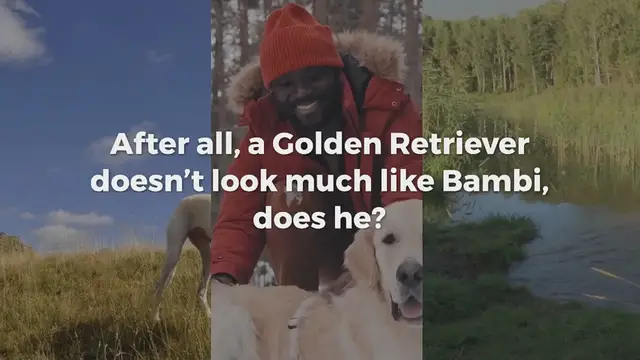 Video thumbnail for 8 Dogs That Look Like Deer