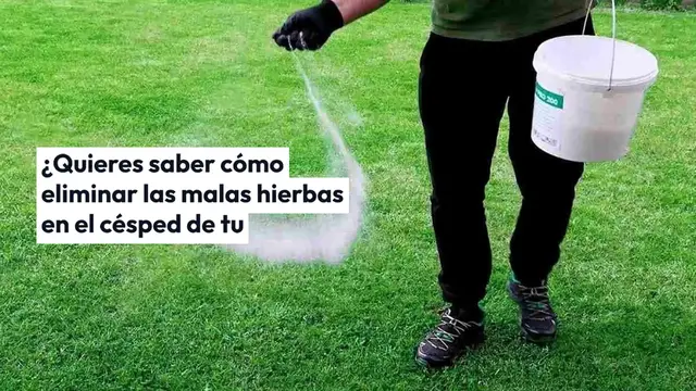 'Video thumbnail for Deshazte de las malas hierbas del césped en segundos: nunca ha sido tan fácil'