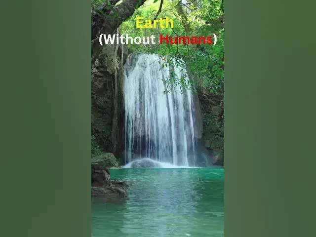 Video thumbnail for Earth Without...#space #viralvideo #shorts #earth #saveearth #beauty #facts #universe  #fypシ゚ #views