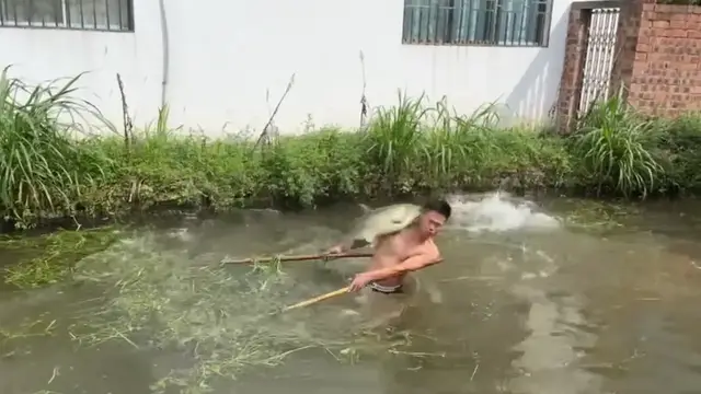 Video thumbnail for Fish Jump and Tap Fisherman in Guangdong Pond