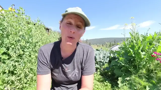 Video thumbnail for This is Way Better than I Thought it Would Be (720P HD)