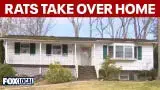 Video thumbnail for Hundreds of rats took over this Long Island home