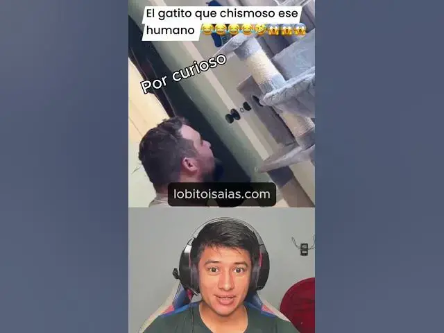 'Video thumbnail for A los curioso siempre les pasa cosas'