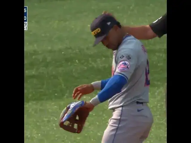 'Video thumbnail for Umpire Saves Francisco Lindor from Bee 😳🐝'