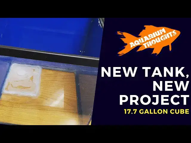 Video thumbnail for NEW Aquarium Project | Adding another tank for my bedroom