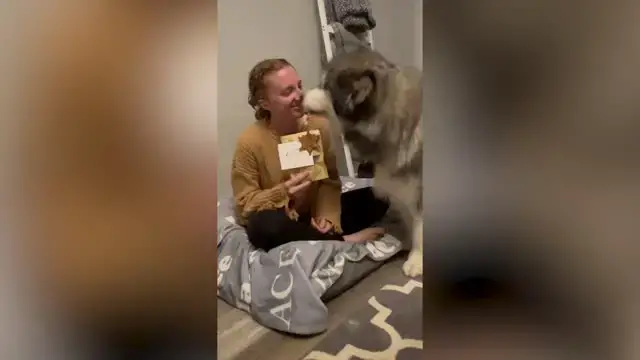 Video thumbnail for Couple Ask Dog To Be Ring Bearer At Their Wedding | Happily TV