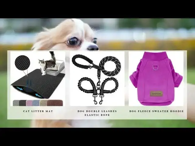 Video thumbnail for Charlotte's Pet Boutique - Commercial