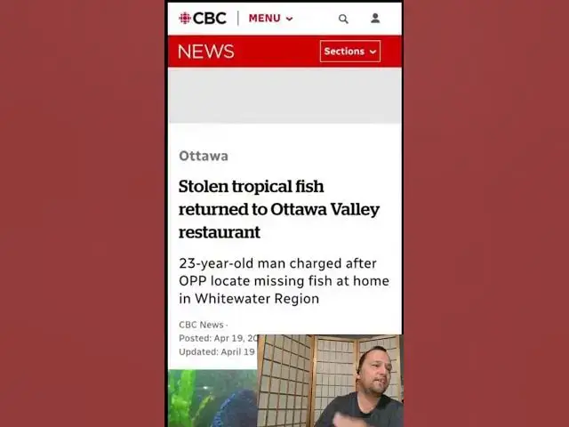 Video thumbnail for Fish Stolen from Ottawa Restaurant #fishtalk #fishkeeping #news #shorts