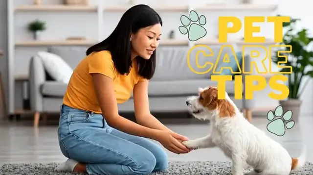 'Video thumbnail for Top Dog Care Tips Every Pet Owner Needs to Know!'