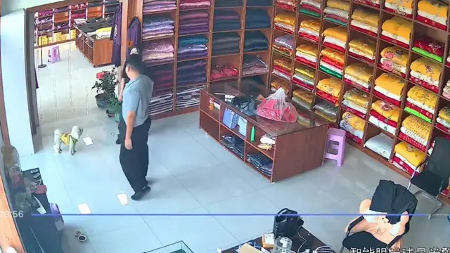 Video thumbnail for China: Dog copies owner doing push-ups in clothing store in China.