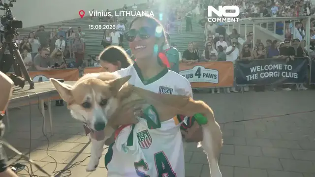 Video thumbnail for Corgis race, bark and dress up at quirky competition in Vilnius