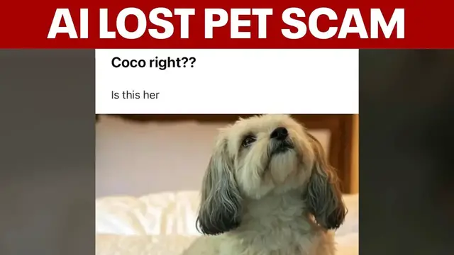 Video thumbnail for AI scam targeting owners of lost pets