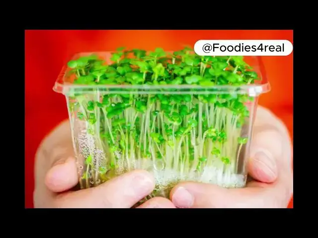 'Video thumbnail for Watercress: The Tiny Leaf with Big Benefits for Your Heart'