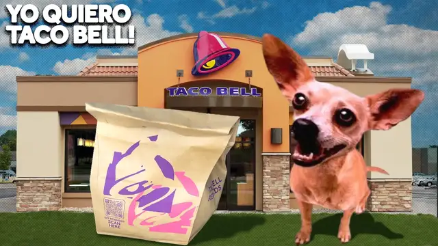 'Video thumbnail for What Happened To The Taco Bell Chihuahua?'