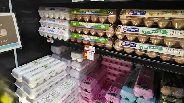 Video thumbnail for Three egg companies allegedly worked together to raise the price of eggs, investigation finds