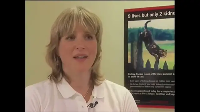 Video thumbnail for Tips for administering oral medications to cats