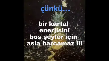 'Video thumbnail for Kartallar Neden Yüksek Uçar?'